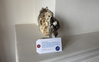 Een persoonlijk kunstwerk dat mijn verhaal vertelt