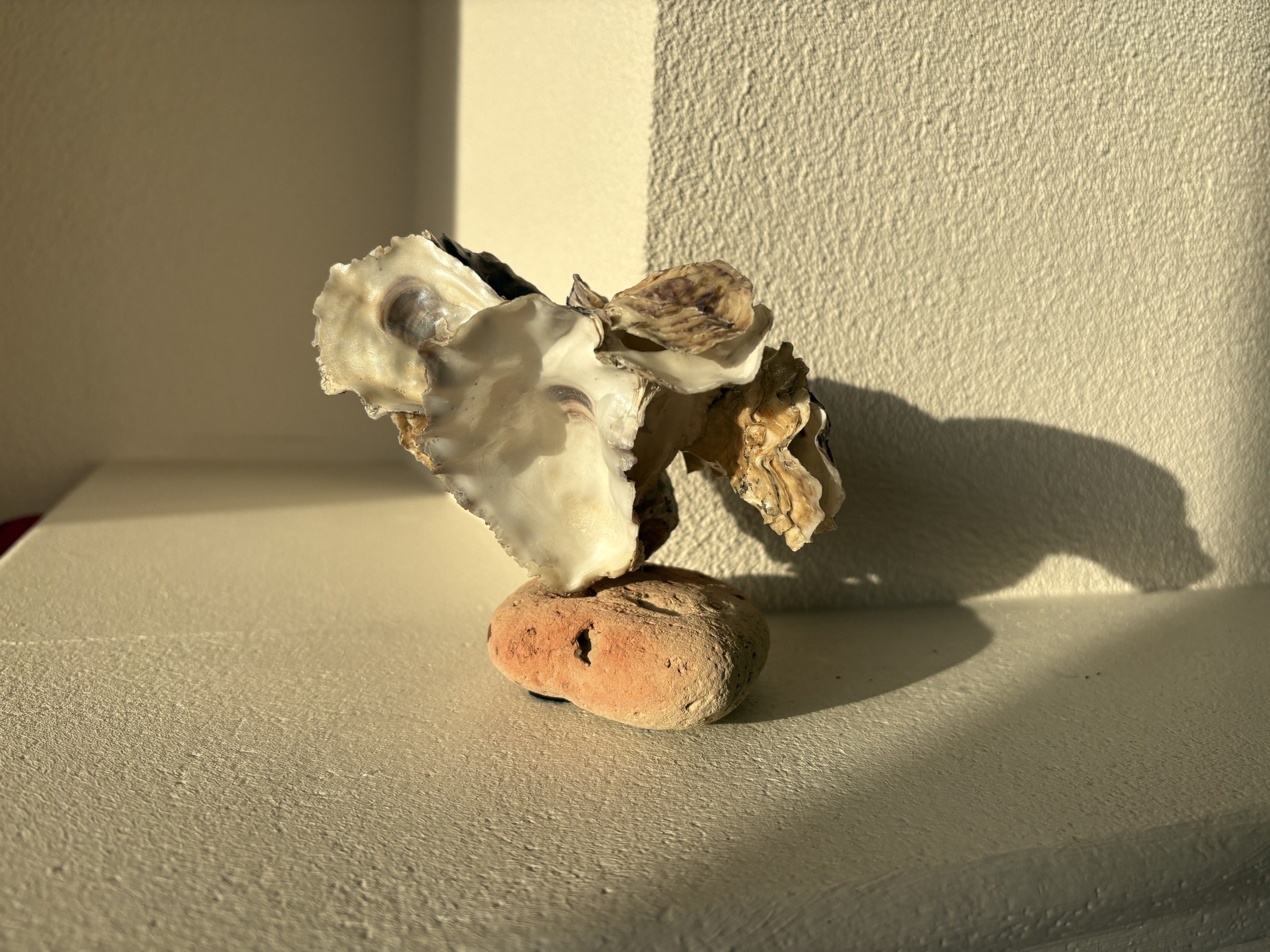 Waddenadem Waddenadem