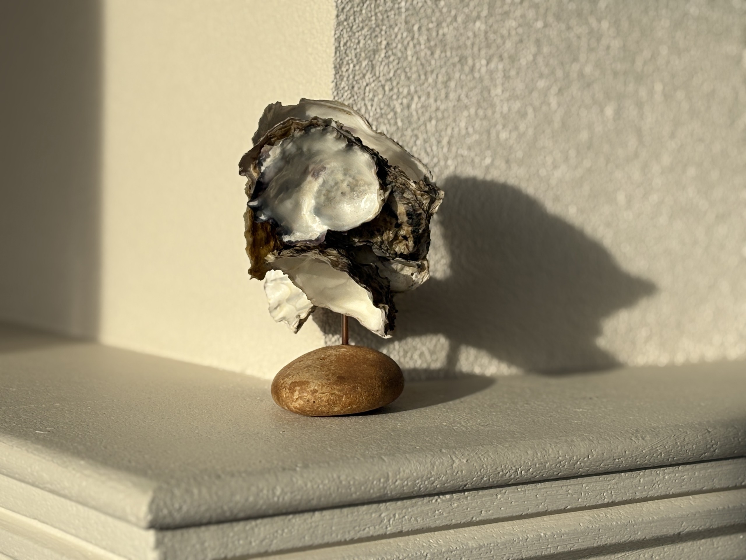 Twirre (= wervelwind) Twirre (= wervelwind)