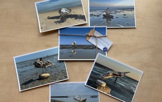 Vier redenen om 13 december langs te komen.