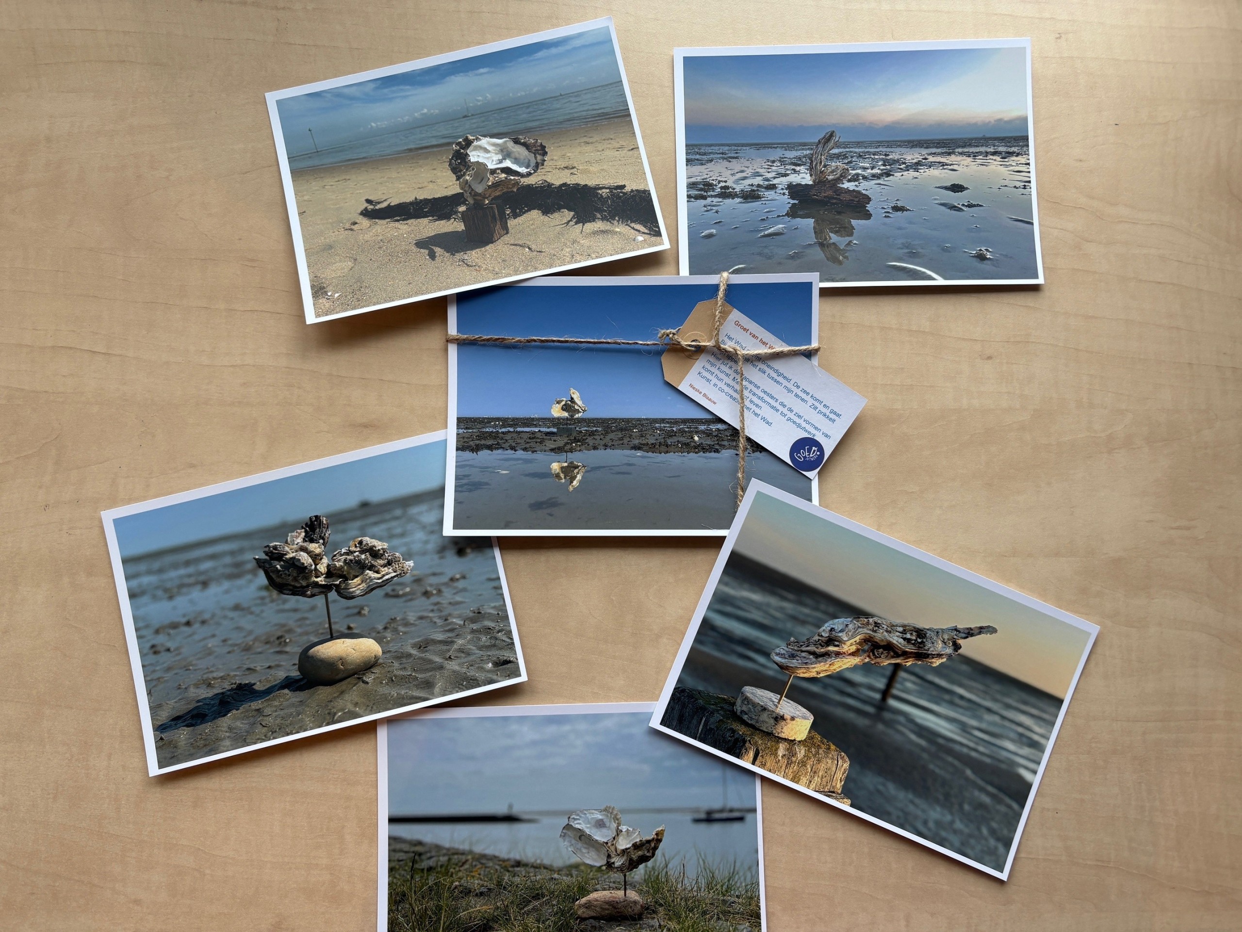 Vier redenen om 13 december langs te komen.